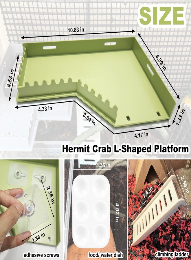 Anranmm Hermit Crab Accessories - Platform with Ladder and Food Dish, Hermit Crab Climbing Toys, Habitat Supplies and Tank Accessories for Reptiles, Hamsters, Geckos, Small Lizards - Image 2